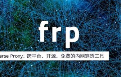 frp v0.64.0 更新：開源內網穿透工具，最簡潔教程 19