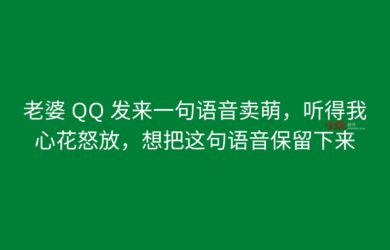老婆 QQ 发来一句语音卖萌，听得我心花怒放，想把这句语音保留下来 13