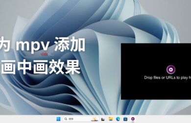 为开源视频播放器 mpv 添加无边框、置顶的画中画效果 12