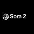 最新版國內直連Sora2，無水印免費使用教程
